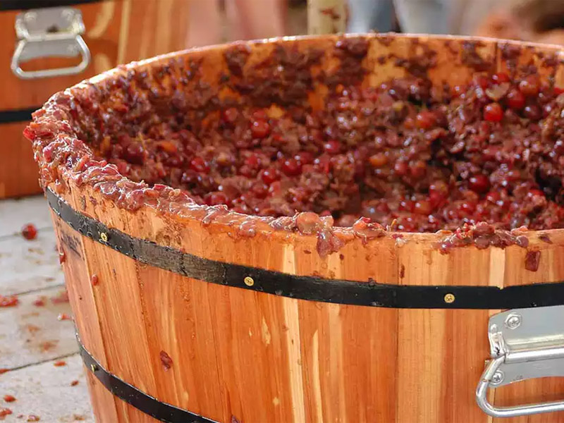 grape stomping