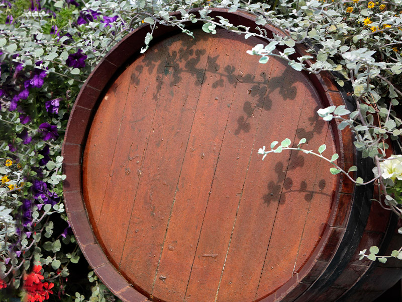 wine barrel